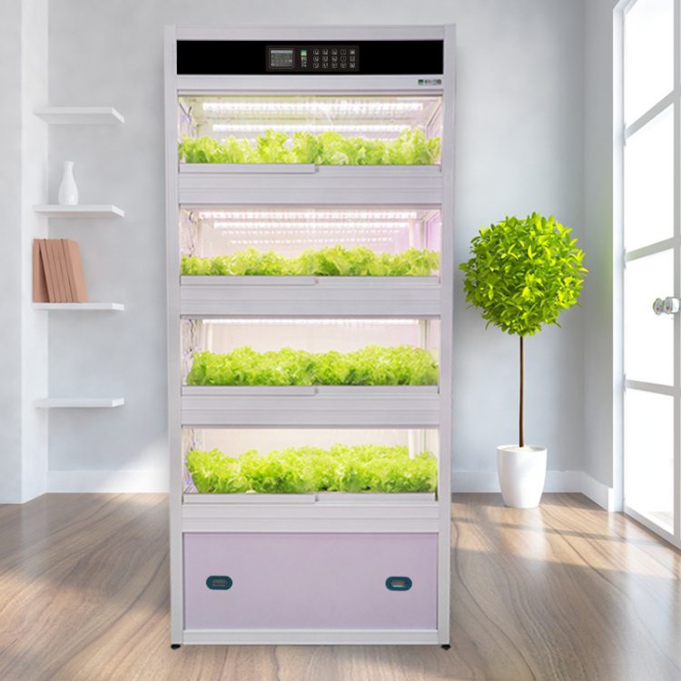 家庭陽臺無土栽培 智能立體種植系統(tǒng)與信息技術服務的融合